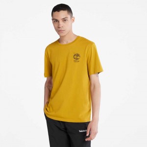 Timberland Back Graphic Senape | SN-TBL46098