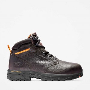 Timberland Ballast Marroni | SN-TBL45731