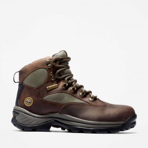 Timberland Chocorua Trail Mid Waterproof Marroni Scuro Verdi | SN-TBL46390