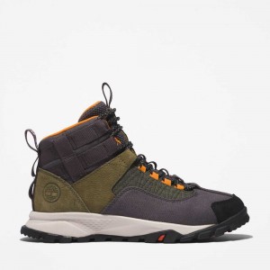 Timberland Earthkeepers Grigie Scuro Verdi | SN-TBL46400