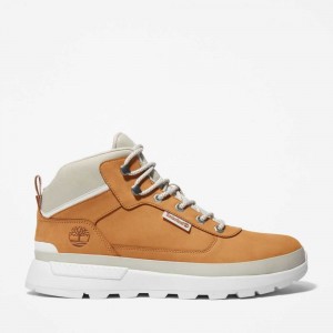 Timberland Field Trekker Marroni | SN-TBL45853