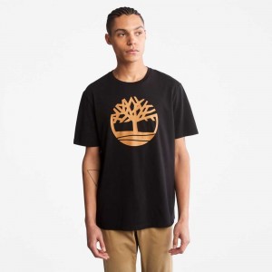 Timberland Kennebec River Nere Marroni | SN-TBL46118