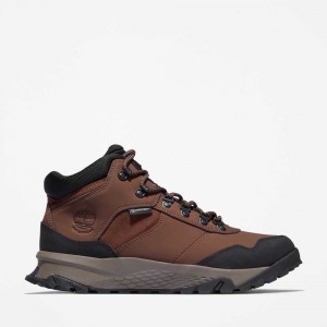 Timberland Lincoln Peak Marroni Scuro | SN-TBL45874