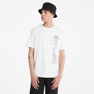Timberland Logo Bianche | SN-TBL46091