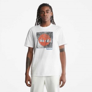Timberland Logo Bianche | SN-TBL46142