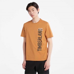 Timberland Logo Marroni | SN-TBL46090