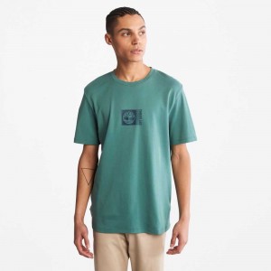 Timberland Logo Verdi Profondo | SN-TBL46114