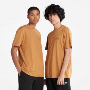 Timberland Luxe Comfort Marroni | SN-TBL46509