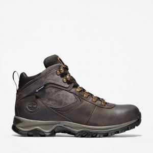 Timberland Mt Maddsen Marroni Scuro | SN-TBL45850