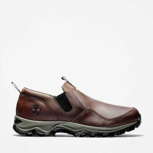 Timberland Mt Maddsen Marroni Scuro | SN-TBL45887