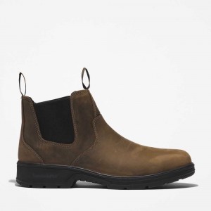 Timberland Nashoba Marroni Caffè | SN-TBL45662