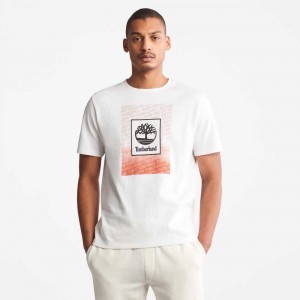 Timberland Organic Cotton Bianche | SN-TBL46129