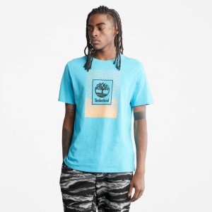 Timberland Organic Cotton Blu | SN-TBL46130