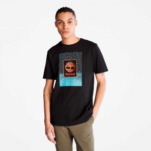 Timberland Organic Cotton Nere | SN-TBL46128