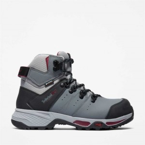 Timberland Switchback Grigie Viola | SN-TBL46337