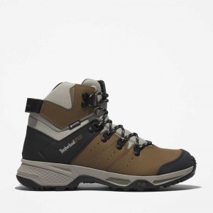 Timberland Switchback Marroni Verdi | SN-TBL45716