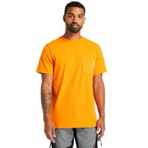 Timberland Timberland Pro® Arancioni | SN-TBL45962