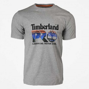 Timberland Timberland Pro® Grigie Chiaro Colorate | SN-TBL45949