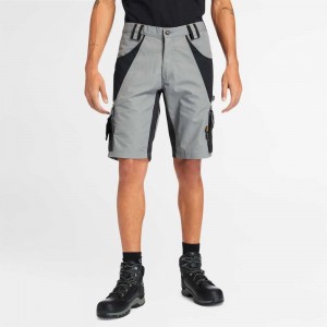 Timberland Timberland Pro® Grigie | SN-TBL46001