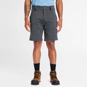 Timberland Timberland Pro® Grigie | SN-TBL46025