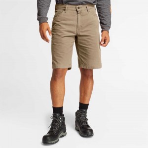 Timberland Timberland Pro® Khaki | SN-TBL45981
