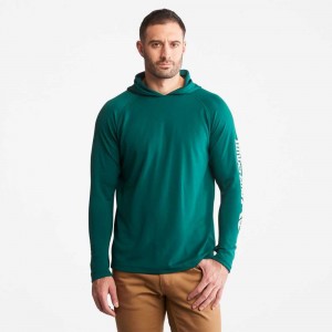 Timberland Timberland Pro® Marroni | SN-TBL45975