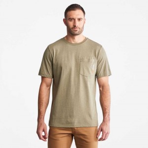 Timberland Timberland Pro® Verde Oliva | SN-TBL45960