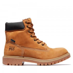 Timberland Timberland Pro X Generation T Marroni | SN-TBL46329