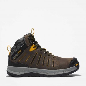 Timberland Trailwind Marroni Gialle | SN-TBL45720