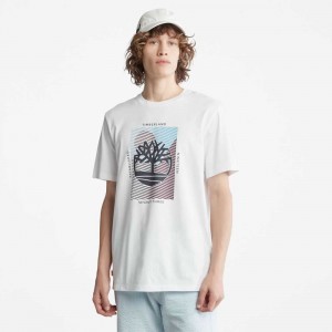 Timberland Tree Logo Bianche | SN-TBL46132