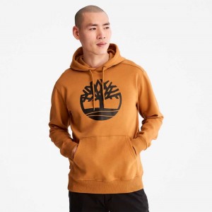 Timberland Tree Logo Marroni Nere | SN-TBL46173