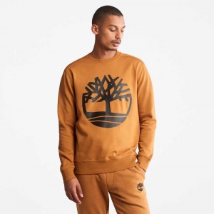 Timberland Tree Logo Marroni Nere | SN-TBL46183