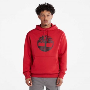 Timberland Tree Logo Rosse Profondo Nere | SN-TBL46529