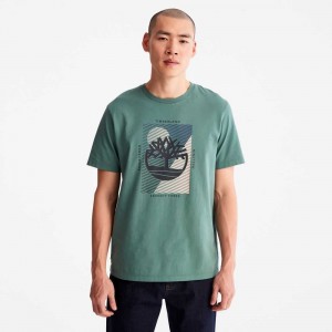 Timberland Tree Logo Verdi Profondo | SN-TBL46131