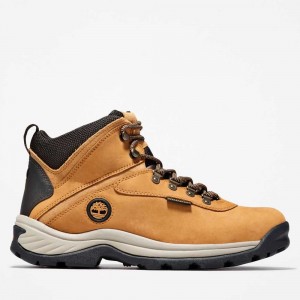 Timberland White Ledge Mid Marroni | SN-TBL45847