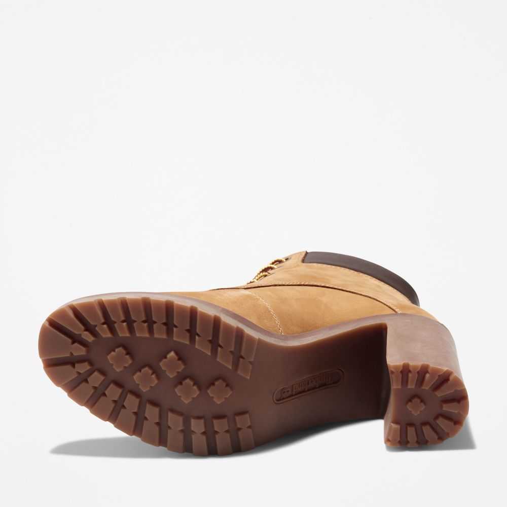 Timberland Allington Marroni | SN-TBL46402