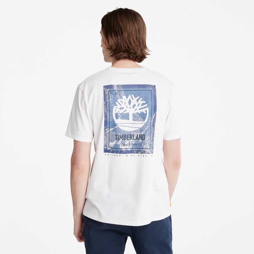 Timberland Back Graphic Bianche | SN-TBL46099