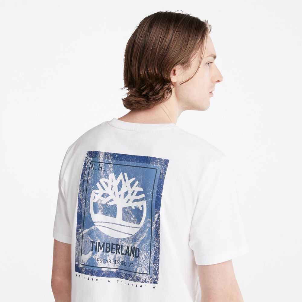 Timberland Back Graphic Bianche | SN-TBL46099