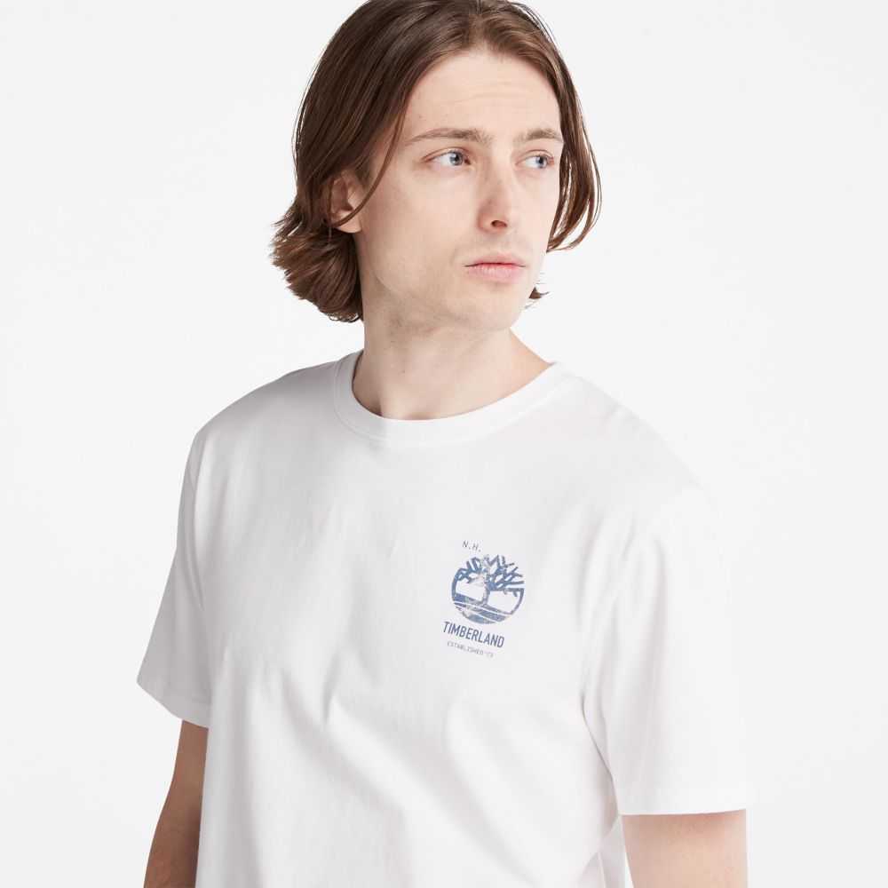 Timberland Back Graphic Bianche | SN-TBL46099
