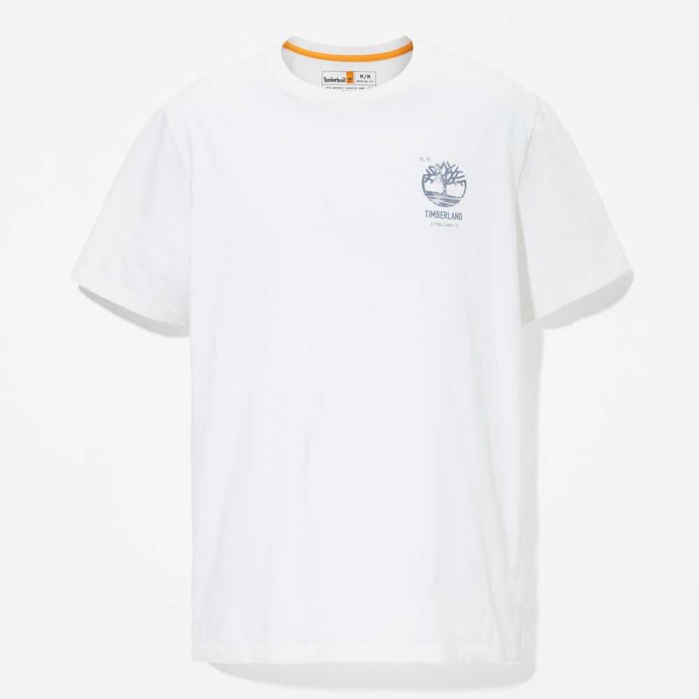 Timberland Back Graphic Bianche | SN-TBL46099