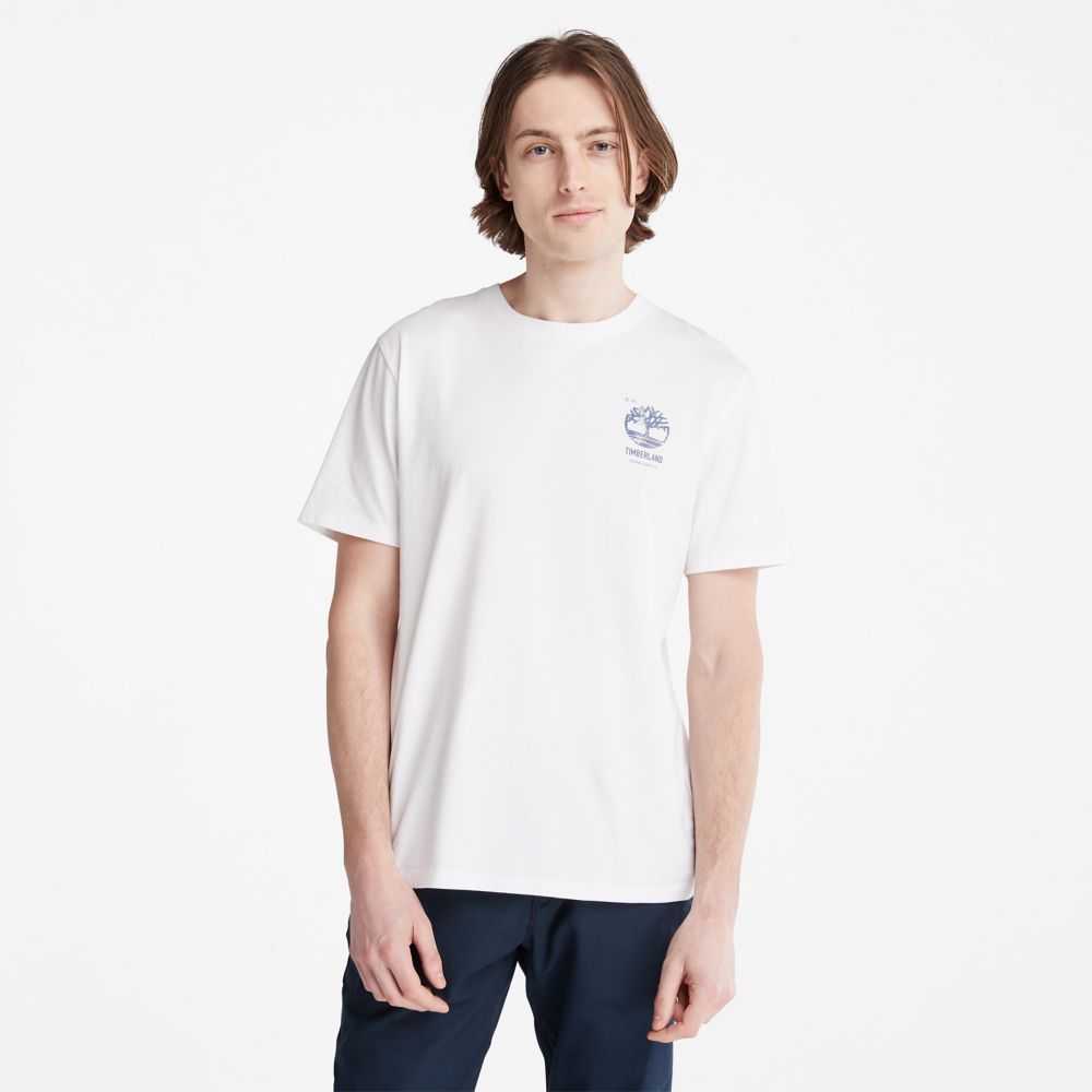 Timberland Back Graphic Bianche | SN-TBL46099