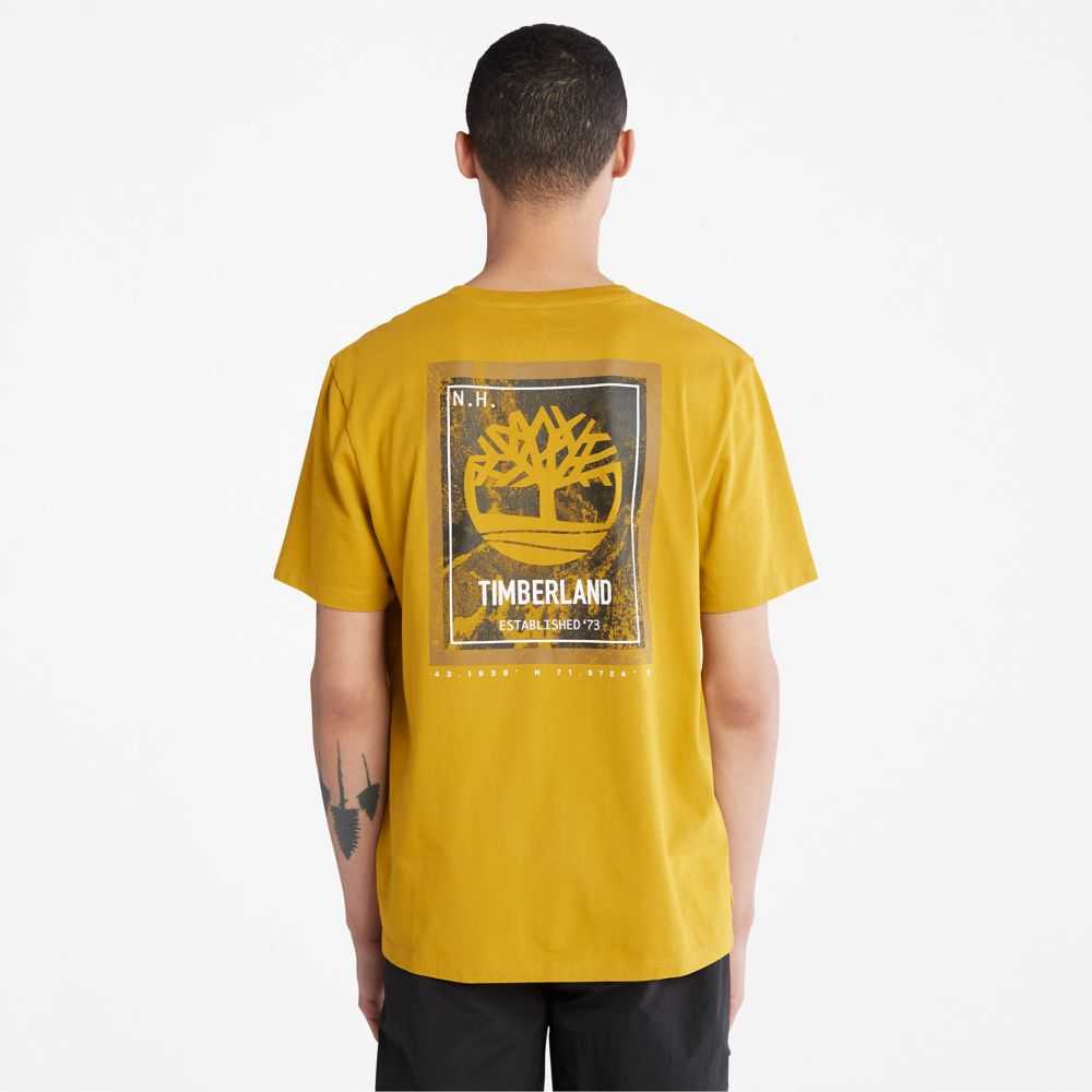 Timberland Back Graphic Senape | SN-TBL46098