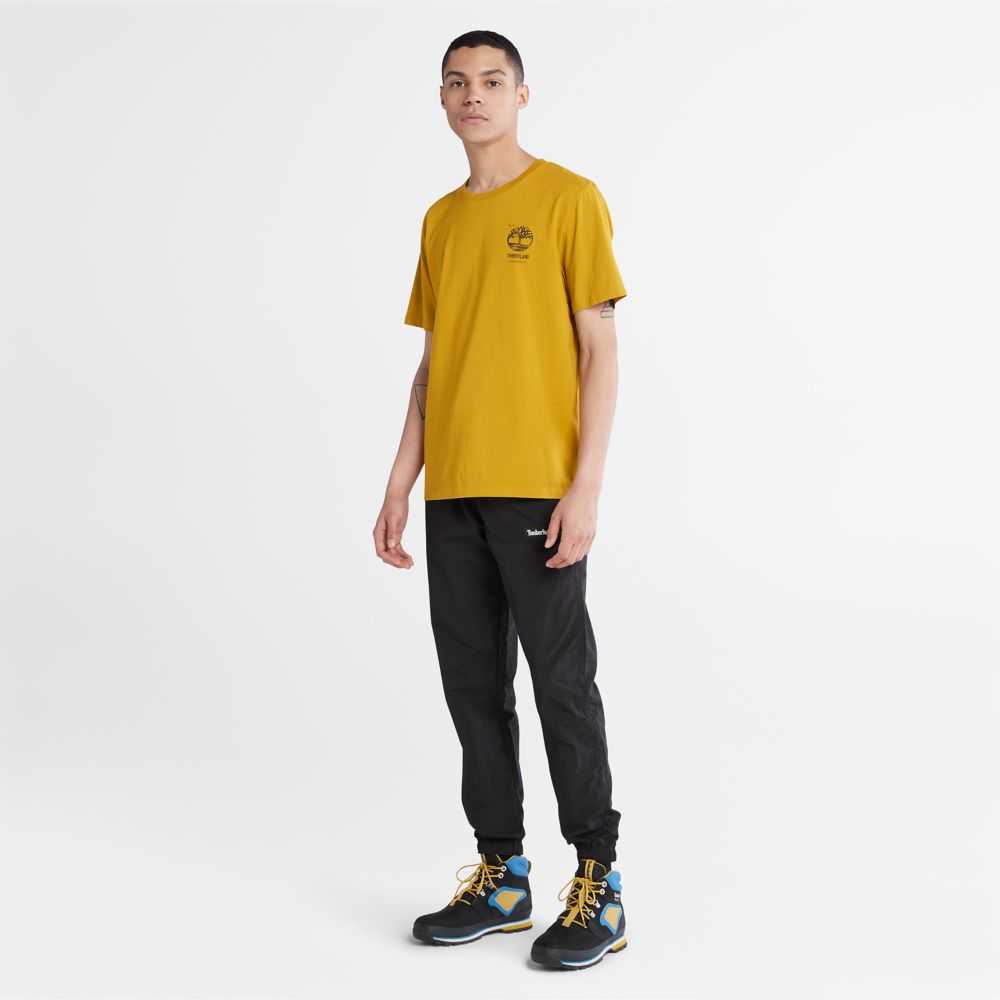 Timberland Back Graphic Senape | SN-TBL46098