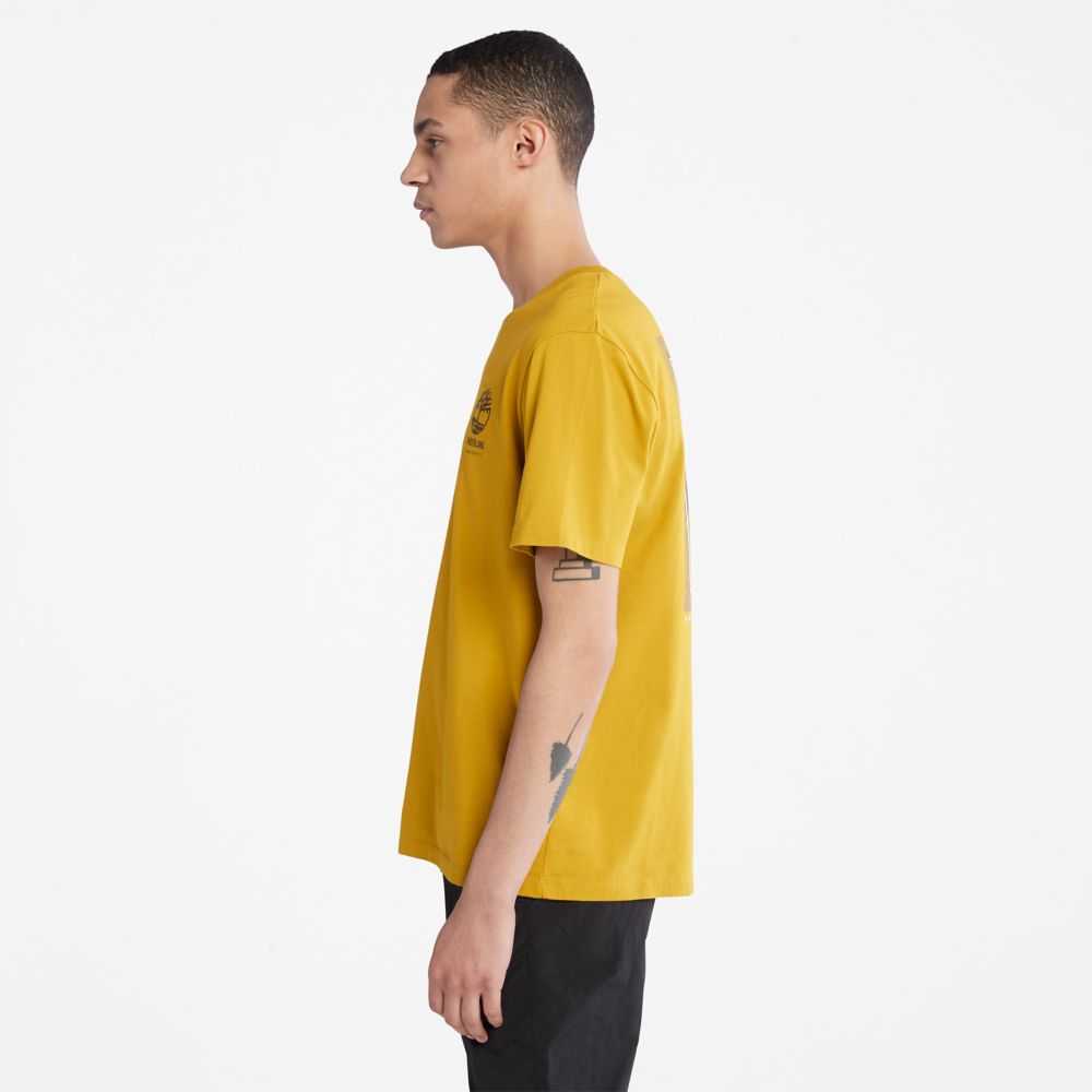 Timberland Back Graphic Senape | SN-TBL46098