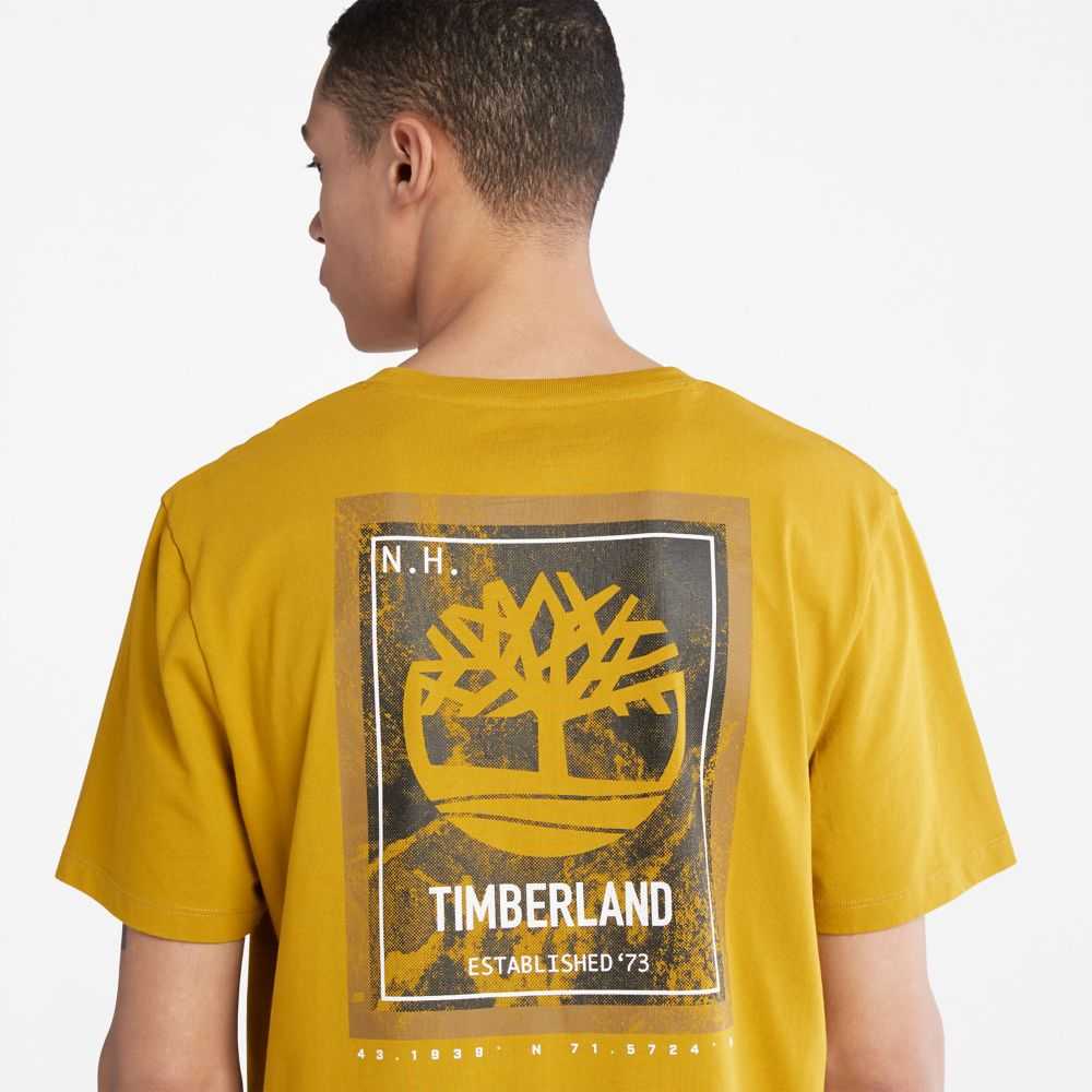 Timberland Back Graphic Senape | SN-TBL46098