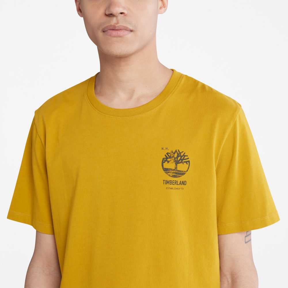 Timberland Back Graphic Senape | SN-TBL46098