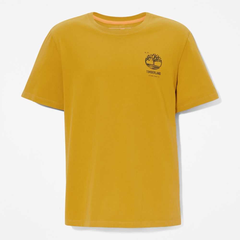 Timberland Back Graphic Senape | SN-TBL46098