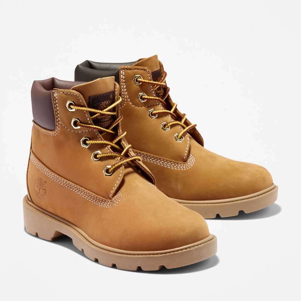 Timberland Classic 6 Inch Marroni | SN-TBL46623