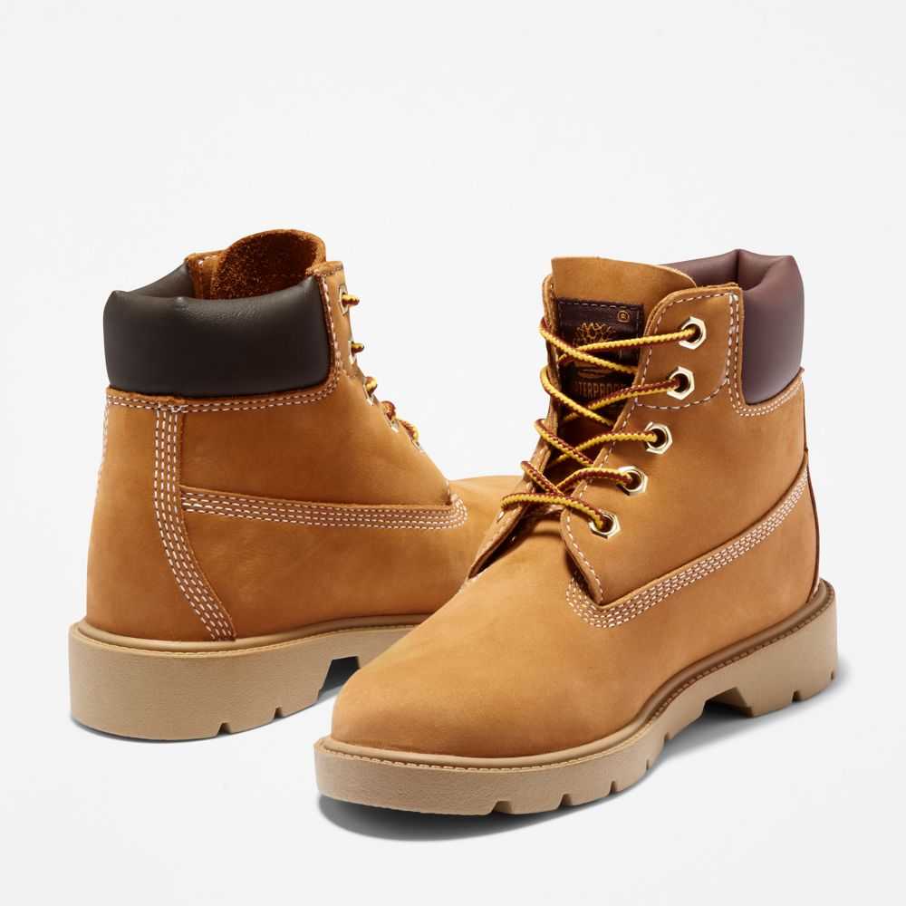 Timberland Classic 6 Inch Marroni | SN-TBL46623