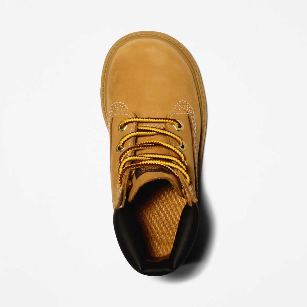 Timberland Classic 6 Inch Marroni | SN-TBL46627